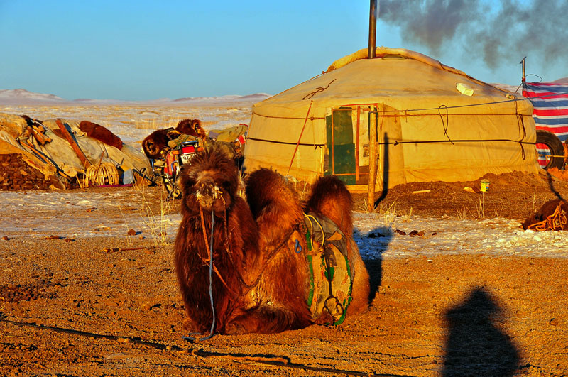Mongolia